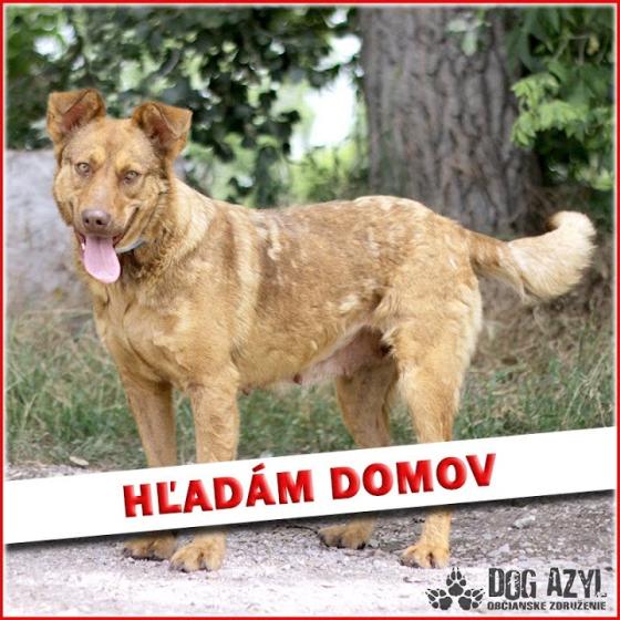 Embedded thumbnail for Dorothy