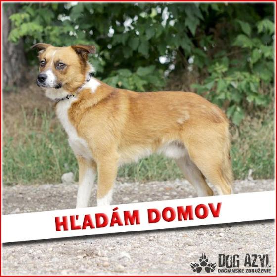 Embedded thumbnail for Raul