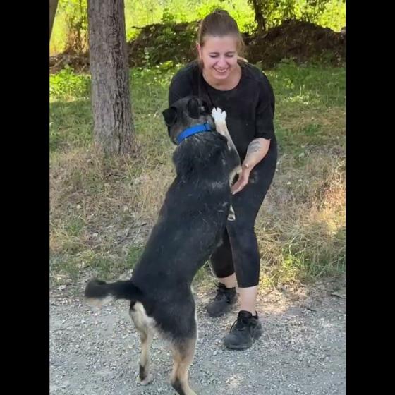 Embedded thumbnail for Preston