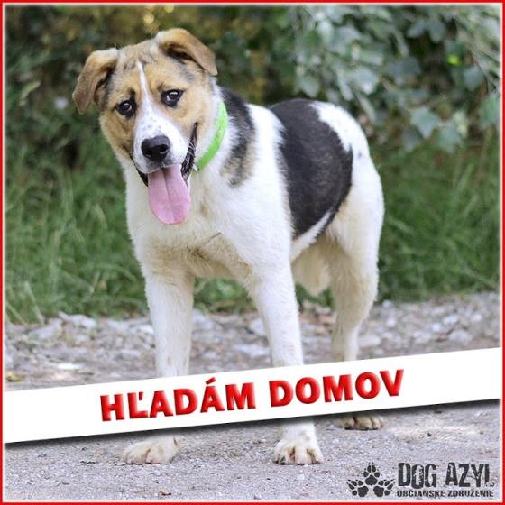 Embedded thumbnail for Clayton