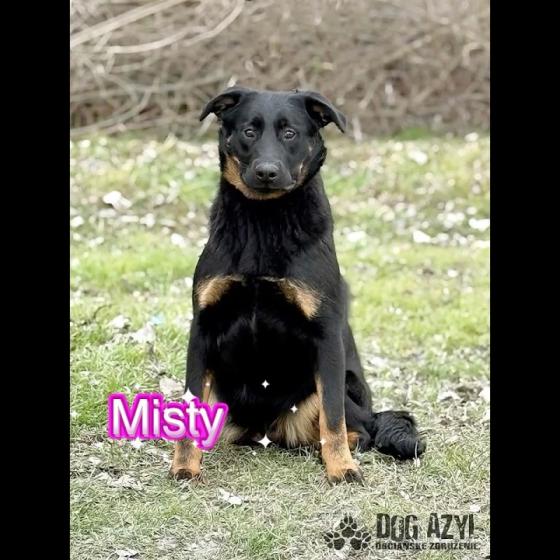 Embedded thumbnail for Misty