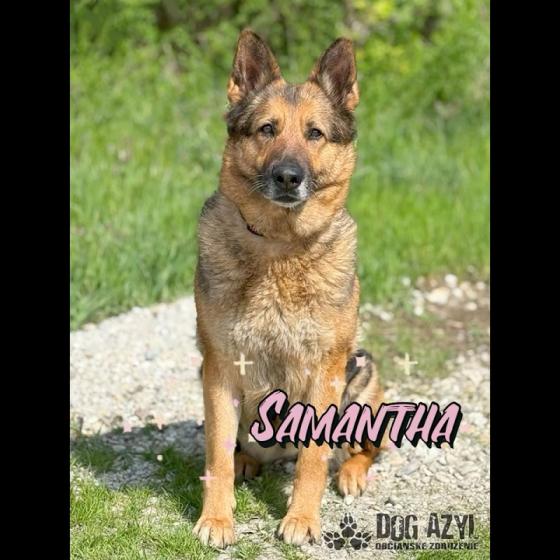 Embedded thumbnail for Samantha