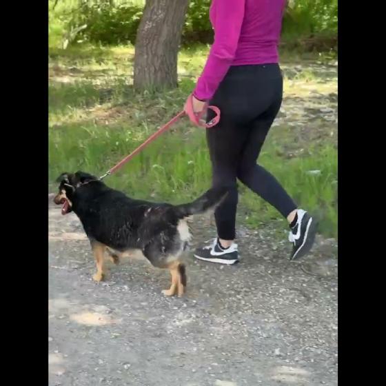 Embedded thumbnail for Moira