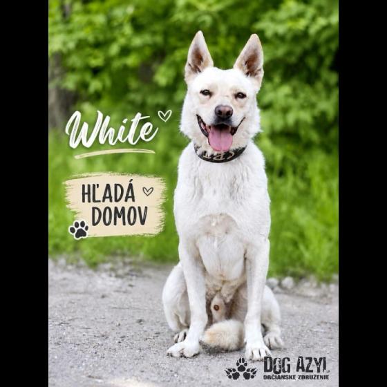Embedded thumbnail for White