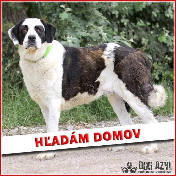 Embedded thumbnail for Peyton