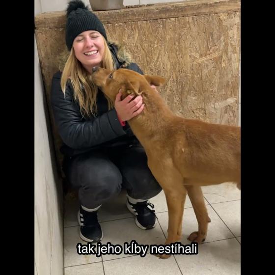 Embedded thumbnail for Scrappy